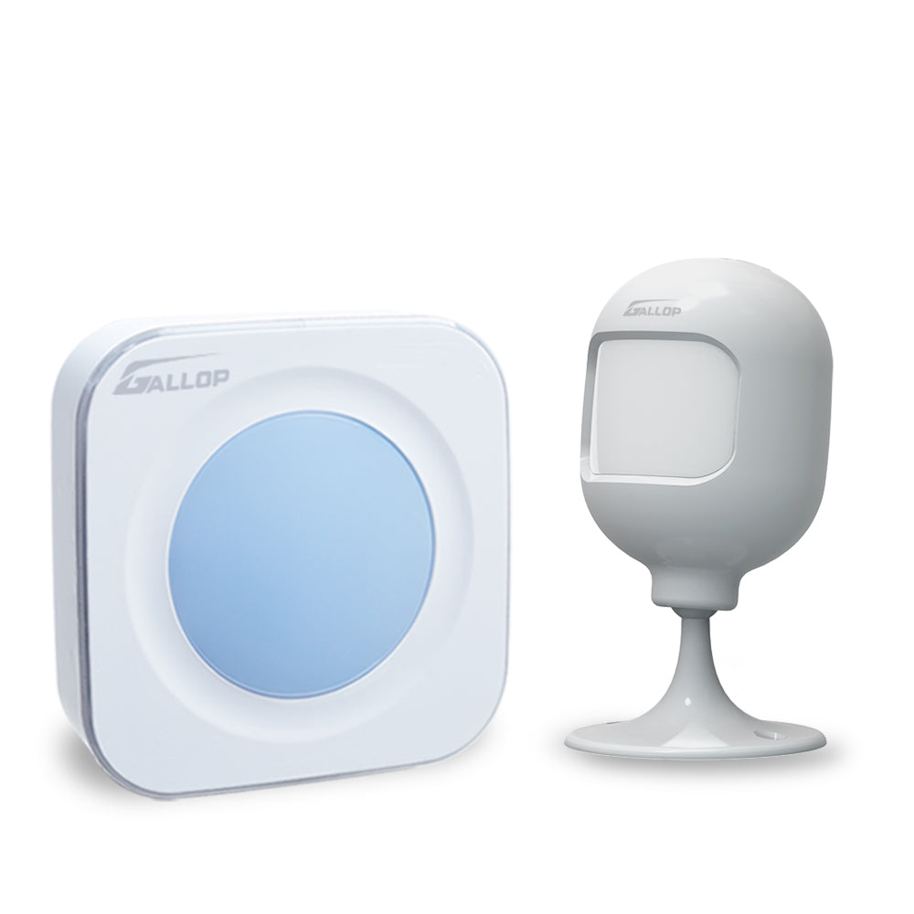 Motion Detector Alarm