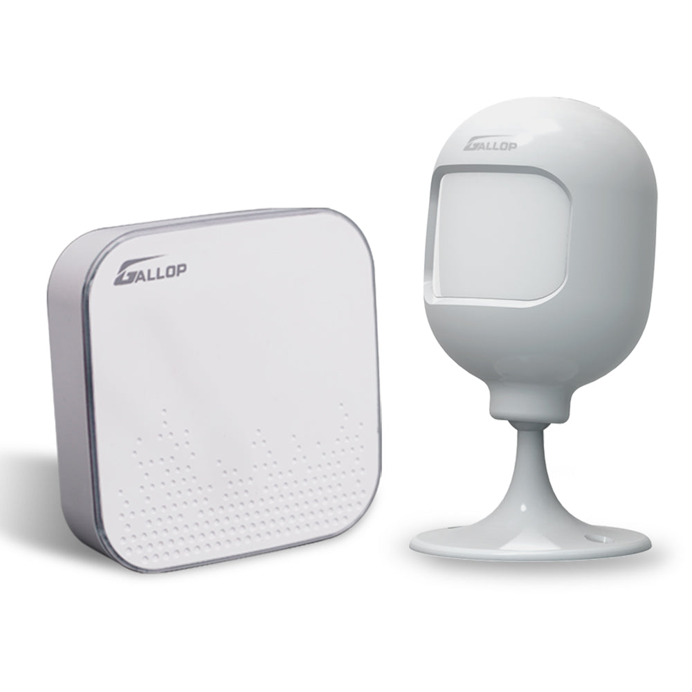 PIR Motion Detector Alarm