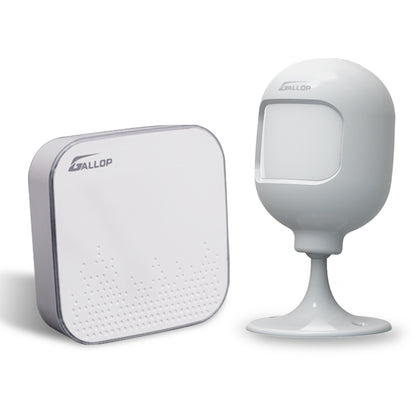 PIR Motion Detector Alarm