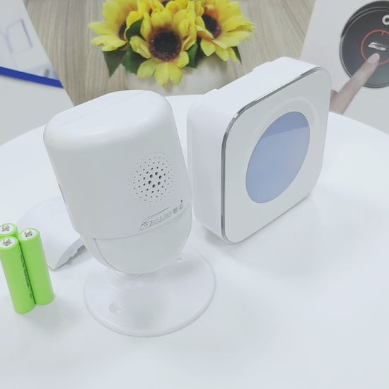 pir motion sensor alarm